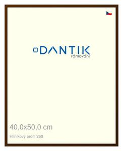 DANTIK rám na obraz 40x50 | ALU Hnědá umbra broušená (Plexi Čiré)