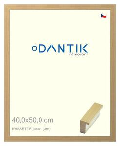 DANTIK rám na obraz 40x50 | KASSETTE jasan (Plexi Čiré)