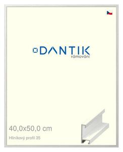 DANTIK rám na obraz 40x50 | ALU Dýha bílá (Plexi Čiré)