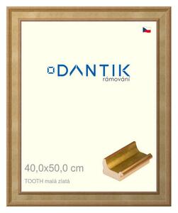 DANTIK rám na obraz 40x50 | TOOTH malá zlatá (Plexi Čiré)