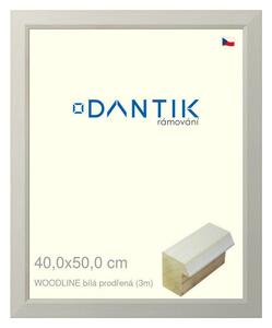 DANTIK rám na obraz 40x50 | WOODLINE bílá prodřená (Plexi Čiré)