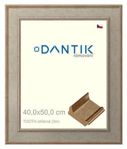 DANTIK rám na obraz 40x50 | TOOTH stříbrná (Plexi Čiré)
