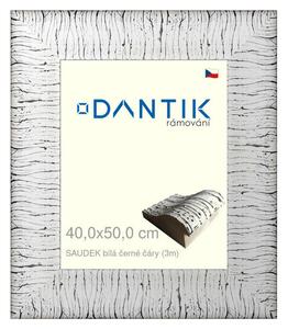 DANTIK rám na obraz 40x50 | SAUDEK Bílá černé čáry (Plexi Čiré)