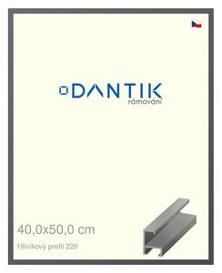 DANTIK rám na obraz 40x50 | ALU Ocelová (Plexi Čiré)