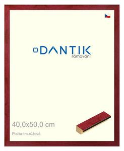 DANTIK rám na obraz 40x50 | PIATTA tm.růžová (Plexi Čiré)