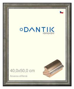 DANTIK rám na obraz 40x50 | ANIVERSA stříbrná (Plexi Čiré)