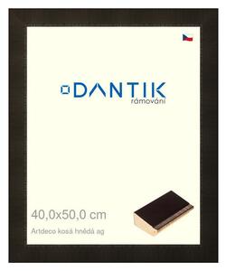 DANTIK rám na obraz 40x50 | Artdeco kosá hnědá AG (Plexi Čiré)