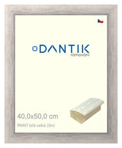 DANTIK rám na obraz 40x50 | PAINT bílá velká (Plexi Čiré)