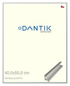 DANTIK rám na obraz 40x50 | ALU Stříbrná matná (Plexi Čiré)
