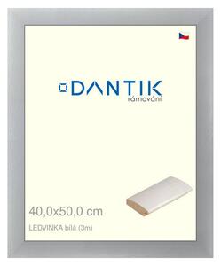 DANTIK rám na obraz 40x50 | LEDVINKA bílá (Plexi Čiré)