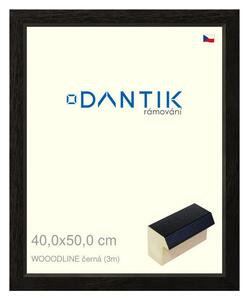 DANTIK rám na obraz 40x50 | WOODLINE černá (Plexi Čiré)