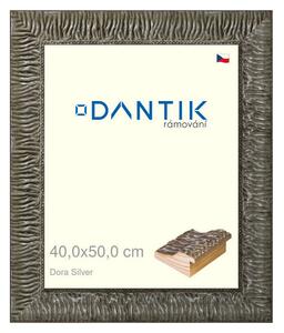 DANTIK rám na obraz 40x50 | Dora Silver (Plexi Čiré)