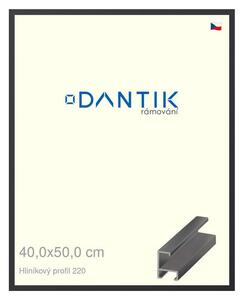 DANTIK rám na obraz 40x50 | ALU Černá matná (Plexi Čiré)