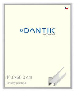 DANTIK rám na obraz 40x50 | ALU Bílá matná (Plexi Čiré)