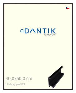 DANTIK rám na obraz 40x50 | ALU Černá matná (Plexi Čiré)