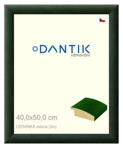 DANTIK rám na obraz 40x50 | LEDVINKA zelená (Plexi Čiré)