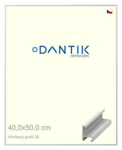 DANTIK rám na obraz 40x50 | ALU Bílá matná (Plexi Čiré)