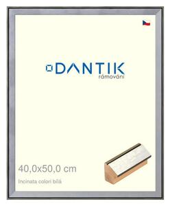 DANTIK rám na obraz 40x50 | INCLINATA colori Bílá (Plexi Čiré)