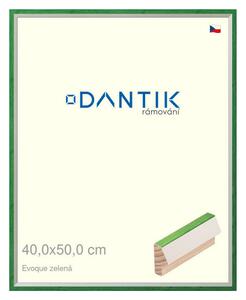 DANTIK rám na obraz 40x50 | EVOQUE zelená (Plexi Čiré)