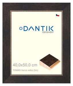 DANTIK rám na obraz 40x50 | TOMAS černá velká (Plexi Čiré)