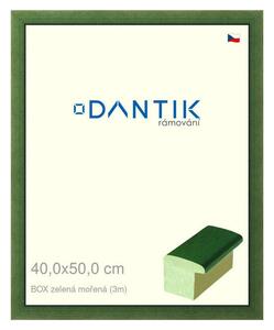 DANTIK rám na obraz 40x50 | BOXzelená mořená (Plexi Čiré)