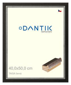 DANTIK rám na obraz 40x50 | TAIGA černá (Plexi Čiré)