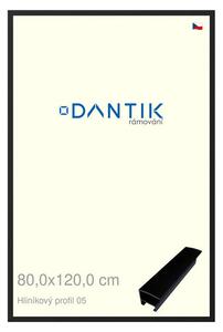 DANTIK rám na obraz 80x120 | ALU Černá matná (Plexi Čiré)