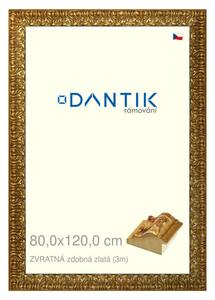 DANTIK rám na obraz 80x120 | ZVRATNÁ zdobná zlatá (Plexi Čiré)
