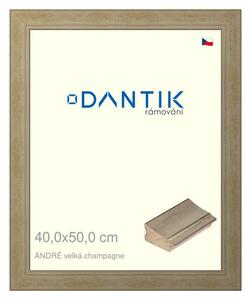 DANTIK rám na obraz 40x50 | ANDRÉ velká champagne (Plexi Čiré)