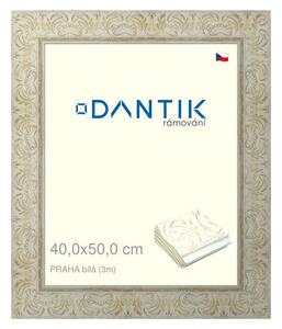DANTIK rám na obraz 40x50 | PRAHA Bílá (Plexi Čiré)