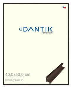 DANTIK rám na obraz 40x50 | ALU Hnědá matná (Plexi Čiré)