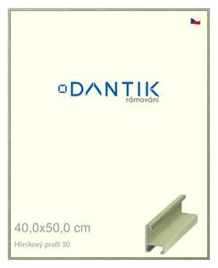 DANTIK rám na obraz 40x50 | ALU Dýha barevná zelená pastel (Plexi Čiré)