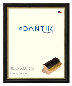 DANTIK rám na obraz 40x50 | ANIVERSA černá AU (Plexi Čiré)