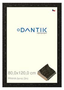 DANTIK rám na obraz 80x120 | PRAHA černá (Plexi Čiré)