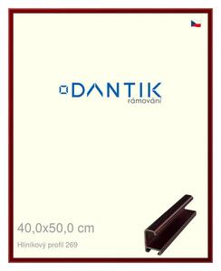 DANTIK rám na obraz 40x50 | ALU Červená Rubin broušená (Plexi Čiré)