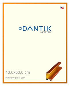 DANTIK rám na obraz 40x50 | ALU Oranžová Citrin broušená (Plexi Čiré)