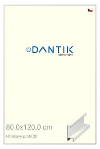 DANTIK rám na obraz 80x120 | ALU Dýha bílá (Plexi Čiré)