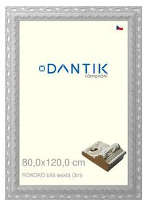 DANTIK rám na obraz 80x120 | ROKOKO bílá lesklá (Plexi Čiré)
