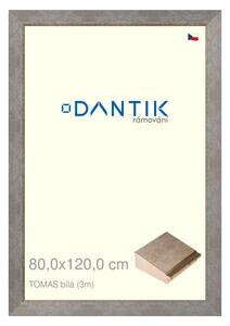 DANTIK rám na obraz 80x120 | TOMAS bílá velká (Plexi Čiré)