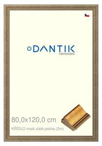 DANTIK rám na obraz 80x120 | KŘÍDLO malé zlaté patina (Plexi Čiré)