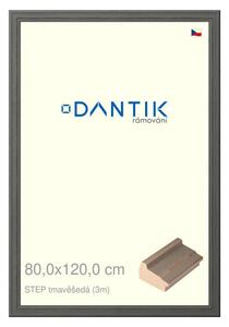 DANTIK rám na obraz 80x120 | STEP tmavěšedá (Plexi Čiré)