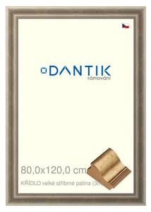DANTIK rám na obraz 80x120 | KŘÍDLO velké stříbrné patina (Plexi Čiré)
