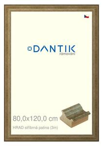 DANTIK rám na obraz 80x120 | HRAD stříbrná patina (Plexi Čiré)