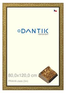 DANTIK rám na obraz 80x120 | PRAHA zlatá (Plexi Čiré)