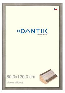 DANTIK rám na obraz 80x120 | Museo stříbrná (Plexi Čiré)
