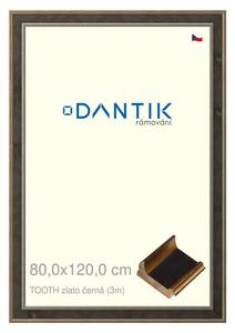 DANTIK rám na obraz 80x120 | TOOTH zlato černá (Plexi Čiré)