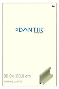 DANTIK rám na obraz 80x120 | ALU Dýha barevná zelená pastel (Plexi Čiré)