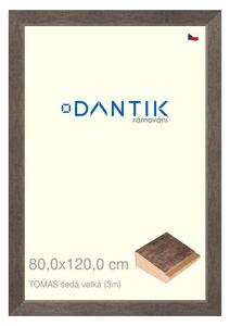 DANTIK rám na obraz 80x120 | TOMAS šedá velká (Plexi Čiré)