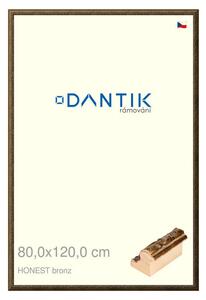 DANTIK rám na obraz 80x120 | HONEST malá vysoká bronz (Plexi Čiré)