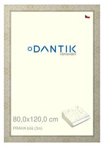 DANTIK rám na obraz 80x120 | PRAHA Bílá (Plexi Čiré)